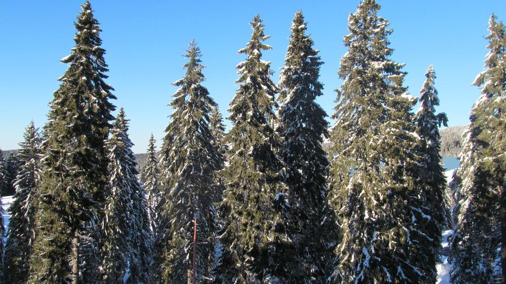 Apartments Vanja I Vrh Kopaonik Esterno foto